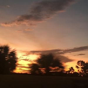 Meet your Posher, Isel